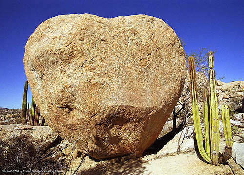 heart-shaped boulder, boulder, cactus, love, rock