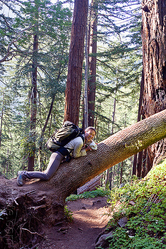 hiker resting on fallen tree (vantana wilderness), backpack, backpacking, big sur, fallen tree, forest, hiking, laying down, pine ridge trail, resting, tree trunk, trekking, vantana wilderness, woman