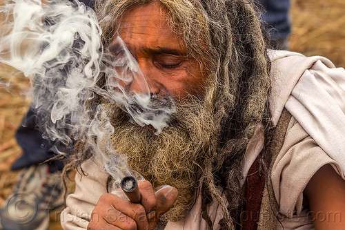 hindu baba smoking chillum of weed (ritual cannabis), baba smoking chillum, beard, chillum pipe, dreadlocks, ganja, hindu pilgrimage, hinduism, kumbh mela, man, sadhu, smoke, smoking pipe, smoking weed