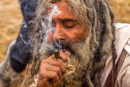 hindu baba smoking chillum - ritual cannabis, baba smoking chillum, beard, chillum pipe, dreadlocks, ganja, hindu pilgrimage, hinduism, kumbh mela, man, sadhu, smoke, smoking pipe, smoking weed
