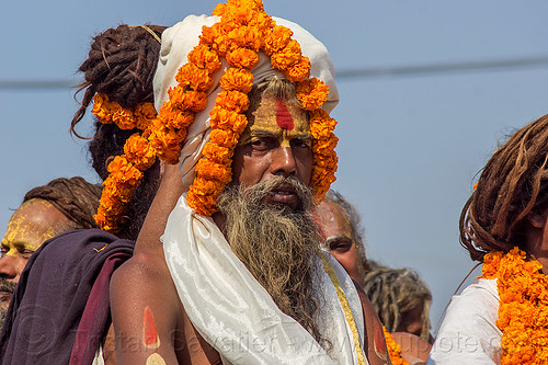 hindu guru with orange flowers headdress - kumbh mela (india), baba, float, gurus, hindu pilgrimage, hinduism, kumbh maha snan, kumbh mela, man, mauni amavasya, parade, turban