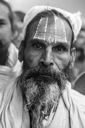 hindu man with large tilaka and beard, beard, headwear, hindu man, hindu pilgrimage, hinduism, indian man, kumbh mela, night, old man, pilgrim, tilak, tilaka