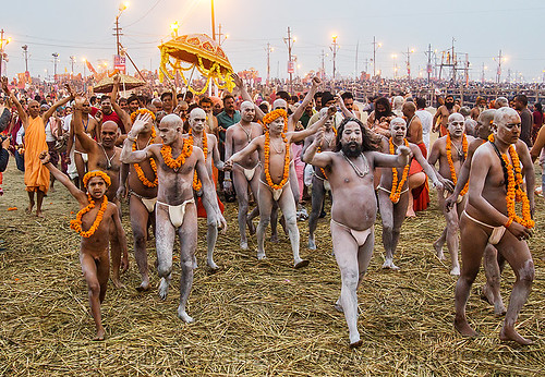 hindu men covered in ritual vibhuti holy ash running toward the ganges river for a holy dip - kumbh mela 2013 (india), boy, crowd, dawn, flower necklaces, hay, hindu pilgrimage, hinduism, holy ash, kumbh mela, marigold flowers, men, naga babas, naga sadhus, running, sacred ash, sadhu, triveni sangam, vasant panchami snan, vibhuti, walking