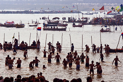 hindu pilgrims bathing in ganges river at sangam on paush purnima day - kumbh mela 2013 (india), backlight, bathing pilgrims, crowd, dawn, fence, ganga, ganges river, hindu pilgrimage, hinduism, holy bath, holy dip, kumbh mela, nadi bath, paush purnima, ritual bath, river bathing, river boats, silhouettes, triveni sangam