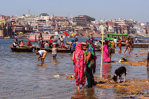 hindu pilgrims having holy dip in ganges river - varanasi (india), ganga, ganges river, ghats, hindu, hinduism, holy bath, holy dip, nadi bath, pilgims bathing, pilgrims, river boat, rowing boat, small boat, varanasi