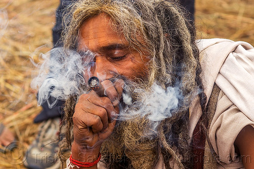hindu sadhu smoking chillum of weed - ritual cannabis, baba smoking chillum, beard, chillum pipe, dreadlocks, ganja, hindu pilgrimage, hinduism, kumbh mela, man, sadhu, smoke, smoking pipe, smoking weed