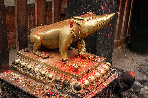 holy rat statue in hindu temple - kathmandu (nepal), bell, brass, chain, ganesha, hinduism, kathmandu, mouse, offerings, rat, shrew, statue, vahana