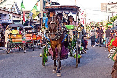 horse carriage in jogja, draft horse, draught horse, horse carriage