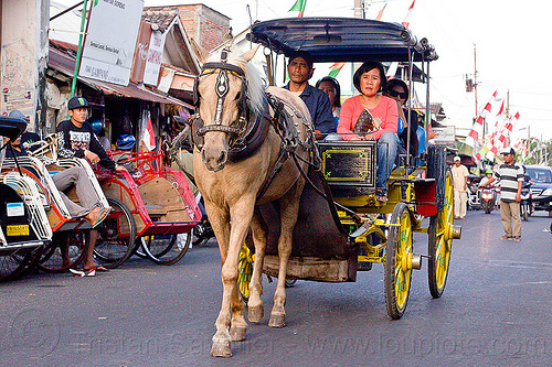 horse carriage in jogja street, draft horse, draught horse, horse carriage
