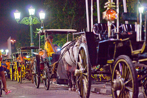 horse carriages on malioboro street, horse carriages, malioboro, night, parked