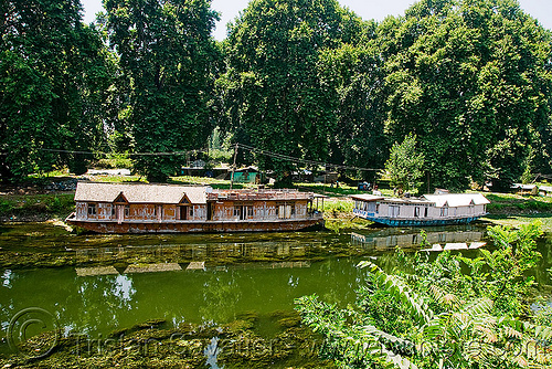 house boats - srinagar - kashmir, floating, house boats, kashmir, lake, srinagar, trees, سِرېنَگَر, شرینگر, श्रीनगर