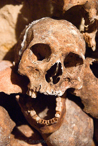 human skull - catacombes de paris, clandestines, dead, human remains, human skull, illegal, ossuary, skeletal remains, skeleton, underground quarry