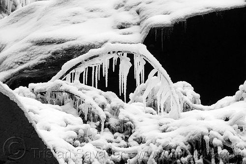 icicles and snow, arch, branch, frozen, ice, icicles, snow, winter, yosemite national park
