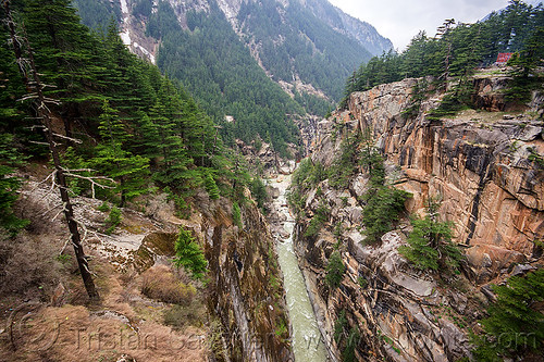 jadh ganga canyon (india), bhagirathi valley, canyon, cliffs, forest, gorge, jadh ganga, landscape, mountain river, mountains