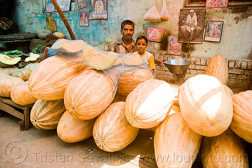 kashi phal - giant indian pumpkins, delhi, farmers market, girl, indian pumpkins, kashiphal, man, merchant, produce, stall, street market, street seller, vegetables, vendor