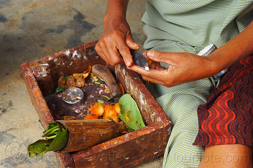 khasi woman preparing betel nut (india), areca nut, betel leaves, betel nut, betel quids, box, east khasi hills, indigenous, knife, mawlynnong, meghalaya, preparing, woman