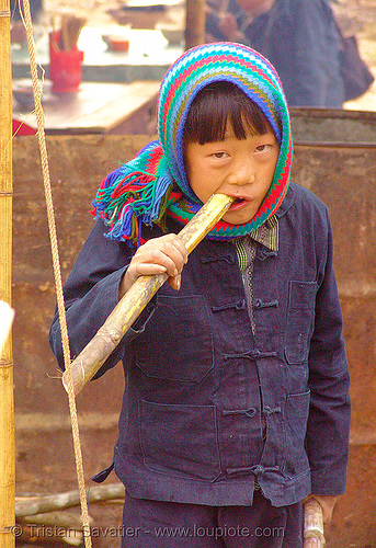 kid eating sugar cane - vietnam, boy, child, colorful, hill tribes, indigenous, kid, mèo vạc, sugar cane
