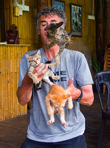 kitten juggling, borneo, cat juggling, cats, flying, ginger kitten, juggler, kittens, mackerel tabby, malaysia, man, self portrait