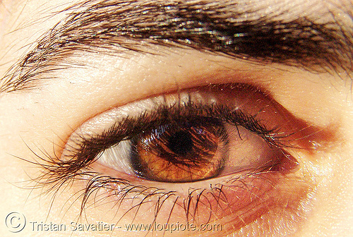 leanne's eye, beautiful eyes, closeup, eye color, eyebrow, eyelashes, iris, leanne, woman