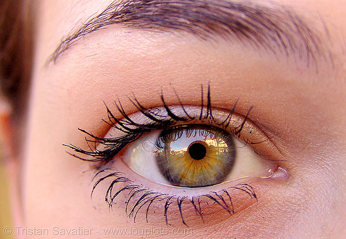 lindsey's amazing eye, beautiful eyes, closeup, eye color, eyelashes, hazel, iris, lindsey, mascara, woman