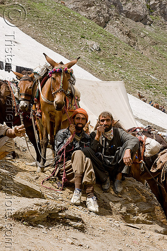 load bearers and their ponies - amarnath yatra (pilgrimage) - kashmir, amarnath yatra, caravan, glacier, hindu pilgrimage, horses, kashmir, kashmiris, mountain trail, mountains, pilgrims, ponies, snow