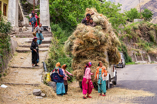 mahendra jeep overloaded with hay (india), car, cargo, dhauliganga valley, freight, hay, indian women, jeep, load, loading, mahindra, men, mountains, overloaded, raini chak lata, road, stairs, steps, village