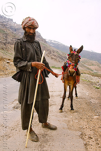 man and his pony - drass valley - leh to srinagar road - kashmir, cane, dras valley, drass valley, horse, kashmir, kashmiri gujjars, mountains, muslim, nomads, pony, road, zoji la, zoji pass, zojila pass