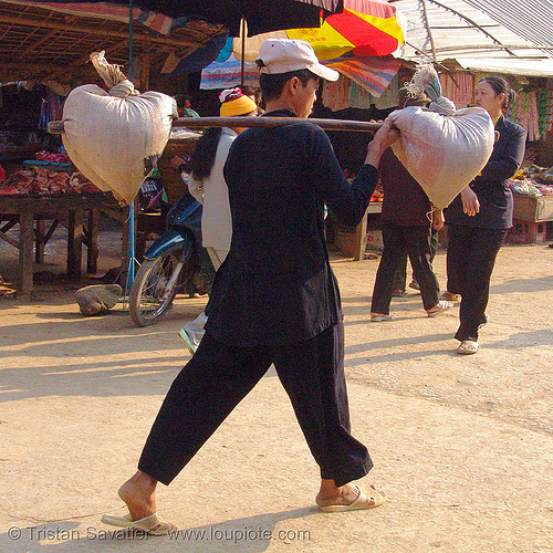 man carrying bags - vietnam, bảo lạc, hill tribes, indigenous, man, stick, twin baskets, walking
