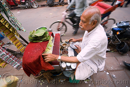 man selling betel quids - delhi (india), areca nut, betel leaves, betel nut, betel quids, delhi, man, street seller, street vendor
