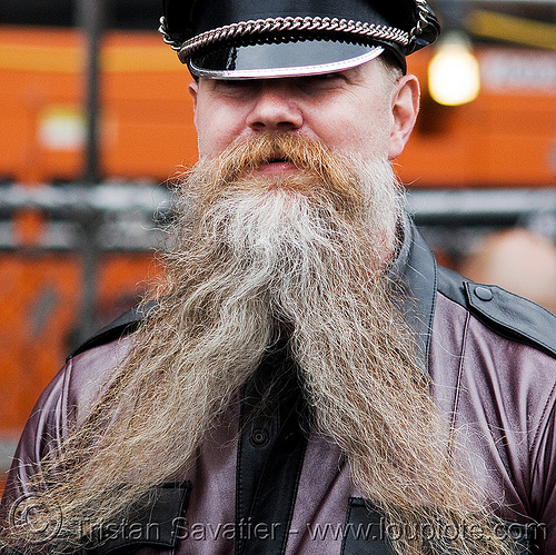 man with forked beard - up your alley fair (san francisco), beard, leather, man
