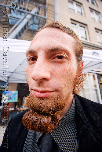 man with goatee beard - how weird street faire (san francisco), beard, goatee, man