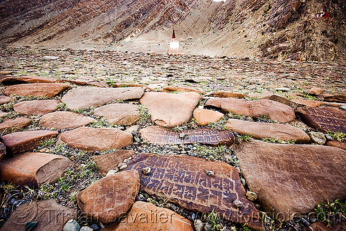 mani stones - ladakh (india), carved, hemis gompa, ladakh, mani stones, mani wall, prayer stone wall, prayer stones, tibetan monastery