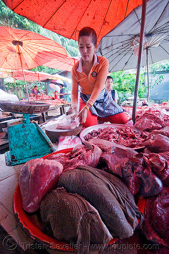 meat market - luang prabang (laos), luang prabang, meat market, meat shop, merchant, raw meat, umbrellas, vendor, woman