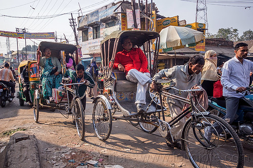men pushing cycle rickshaws with passengers (india), cycle rickshaws, men, passengers, varanasi, walking