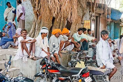 men sitting under banyan tree (india), banyan, men, sailana, sitting