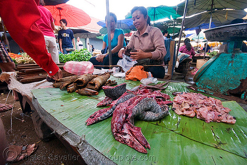 monitor lizard meat on the market, bushmeat, giant lizard, lizard meat, luang prabang, meat market, meat shop, merchant, monitor lizard, raw meat, varanidae, varanus, vendor