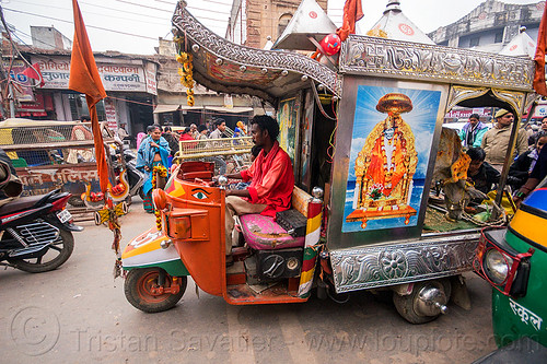 motor rickshaw transporting holy cows (india), auto rickshaw, decorated, holy cow, sai baba, traffic, varanasi
