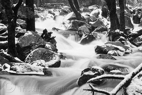 mountain creek in winter, boulders, creek, flowing, river, rocks, snow, trees, whitewater, winter, yosemite national park