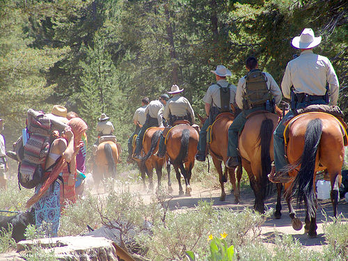 mounted police - rainbow gathering - hippie - horses, hippie, horses, law enforcement, mounted police, park rangers