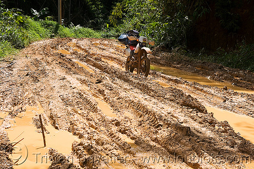 muddy road - ruts - motorbike, 250cc, dirt road, dual-sport, honda motorcycle, honda xr 250, motorcycle touring, mud ruts, muddy, unpaved