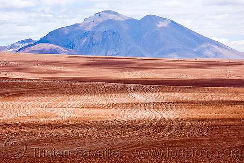 multiple dirt tracks - high desert (bolivia), altiplano, bolivia, dirt roads, environment, landscape, pampa, ruts, unpaved