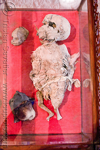 mummified babies, bolivia, cadaver, casa de la moneda, casa nacional de moneda, child, corpse, dead, human remains, potosí