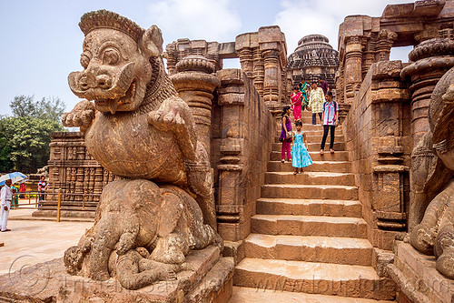 mustachioed stone tiger over elephant - konark sun temple (india), hindu temple, hinduism, konark sun temple, sculptures, stairs, statue, steps, stone elephant, tourists