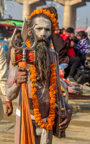naga baba with trident - hindu - sadhu (india), baba, beard, damaru drum, flower necklace, hindu pilgrimage, hindu ritual drum, hinduism, kumbh mela, man, marigold flowers, naga babas, naga sadhus, rudraksha beads, sadhu, trident