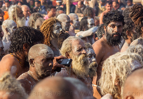 naga sadhus going to the ganges river for holy bath - kumbh mela 2013 (india), amavasa, beard, crowd, digital camera, dreadlocks, hindu pilgrimage, hinduism, holy ash, kumbh maha snan, kumbh mela, mauni amavasya, men, naga babas, naga sadhus, sacred ash, triveni sangam, vibhuti, walking