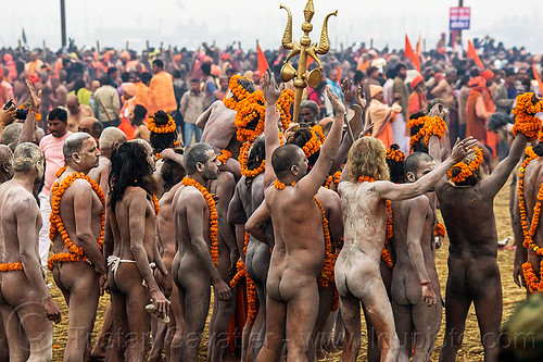 naked hindu devotees (naga babas) - kumbh mela 2013 (india), crowd, flower necklaces, hindu pilgrimage, hinduism, holy ash, kumbh mela, marigold flowers, men, naga babas, naga sadhus, sacred ash, sadhu, trident, triveni sangam, vasant panchami snan, vibhuti, walking
