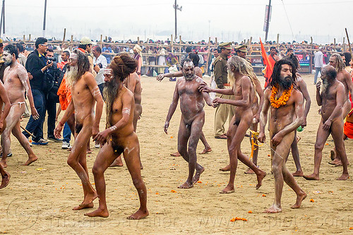 naked hindu devotees walking towards the ganges river - kumbh mela (india), crowd, hindu pilgrimage, hinduism, holy ash, kumbh mela, men, naga babas, naga sadhus, running, sacred ash, triveni sangam, vasant panchami snan, vibhuti, walking