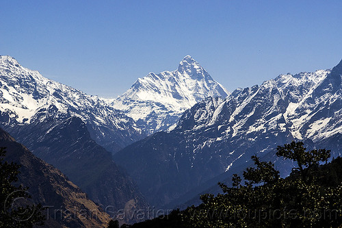 nanda devi mountain (india), landscape, mountains, nanda devi, peak, snow, summit