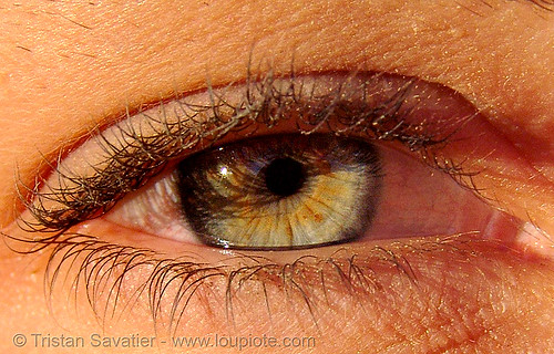 natalie's eye, beautiful eyes, closeup, eye color, eyelashes, hazel, iris, natalie, woman