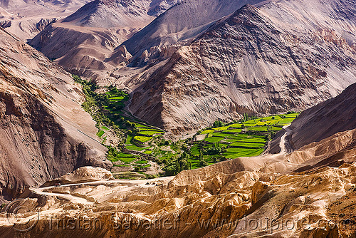 near lamayuru - leh to srinagar road - ladakh (india), agriculture, ladakh, lamayuru, landscape, mountains, paddies, patch, rice paddy fields, terrace farming, terraced fields, valley
